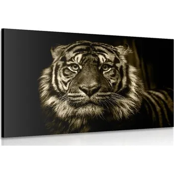 Obraz Dovido Obraz tygr v sépiovém provedení
