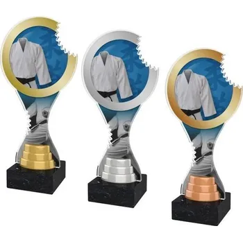 Poháry Bauer Akrylátová trofej ACBTM26 | Bojová umění