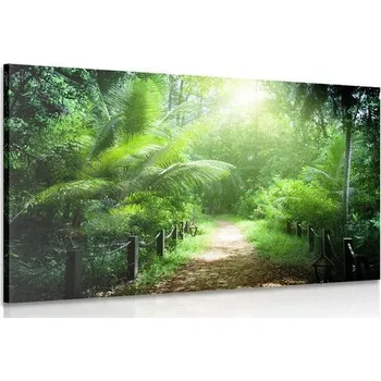 Obraz Dovido Obraz cestička na ostrově Seychely