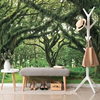 Fototapeta Dovido Fototapeta cesta zahalená stromy