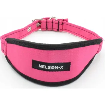 Obojek pro psa Filcový obojek pro psa Nelson-X, velikost XL