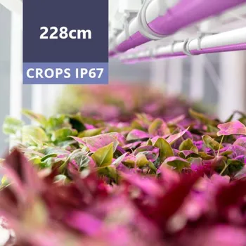 Příslušenství pro skleník Pěstební světlo BIOLED CROPS IP67 LED Tube58 Full Spectrum 228cm 72W