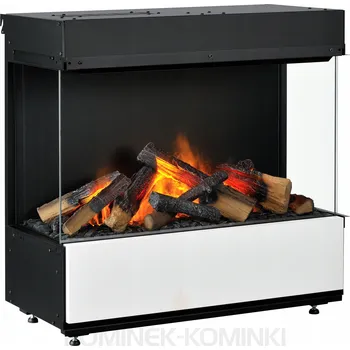 Elektrický krb k zabudování s topnou funkcí Dimplex černý 970 W 77 x 78 x 41 cm