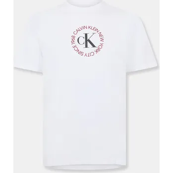 Pánské tričko Tričko Calvin Klein Jeans Brilliant White 1194877 M