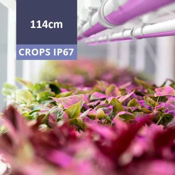 Příslušenství pro skleník Pěstební světlo BIOLED CROPS IP67 LED Tube58 114cm 40W