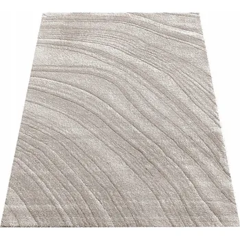 Koberec Koberec Cosy Shaggy Serenity 200x290 02 béžový