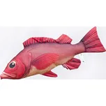 Gaby Polštář Okouník červený - 75 cm