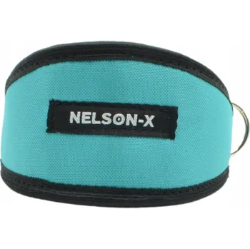 Obojek pro psa Obojek pro psa Nelson-X vel. XS