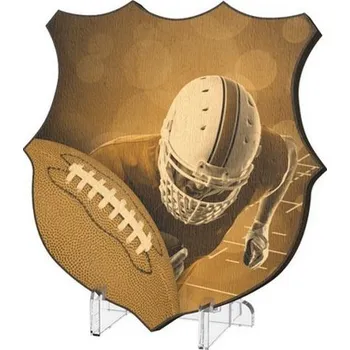 Volný čas Poháry Bauer Plaketa WPPR002M17 | Americký fotbal