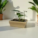 Plantbee Box na množení Vivera šedá