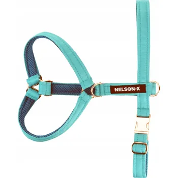 Postroj pro psa POSTROJ GUARD PRO PSA NELSON-X GOLDIE VELIKOST XXL ZLATÉ KOVÁNÍ POLSKÝ VÝROBEK