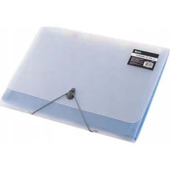 Desky s gumou a přihrádkami A4 D.rect