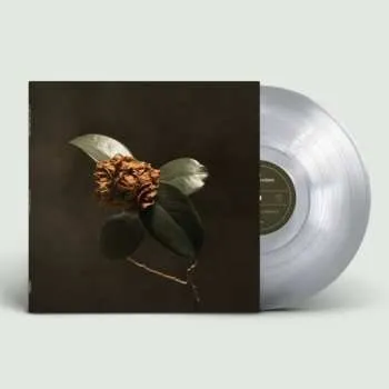 Hudba LP St. Paul & The Broken Bones: Young Sick Camellia 2025