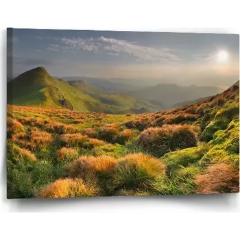 Obraz Sablio Obraz Travnatá krajina - 60x40 cm