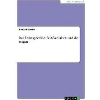 Das Erdmagnetfeld. Sein Verhalten und die Folgen - Moritz, Richard