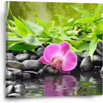Obraz Sablio Obraz Růžová orchidej - 50x50 cm