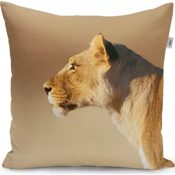 Polštář Sablio Polštář Lvice 2 - 50x50 cm