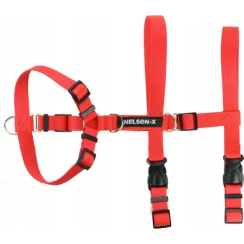 Postroj pro psa POSTROJE PROTI ÚNIKU PRO PSA EASY GUARD WALK NELSON-X XS