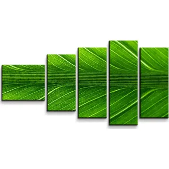Obraz Sablio Obraz - 5-dílný List 2 - 100x60 cm