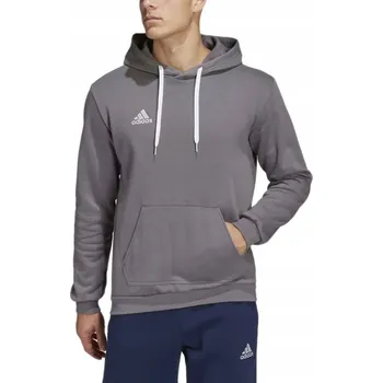 Pánská mikina Mikina adidas EntRADA 22 Hoody HB0578 šedá M
