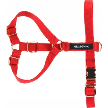 Postroj pro psa POSTROJ PRO PSA NELSON-X BASIC GOLDIE ZLATÉ KOVÁNÍ VELIKOST XXL POLSKÝ VÝROBEK