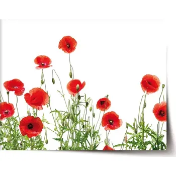 Plakát Sablio Plakát Vlčí máky - 60x40 cm