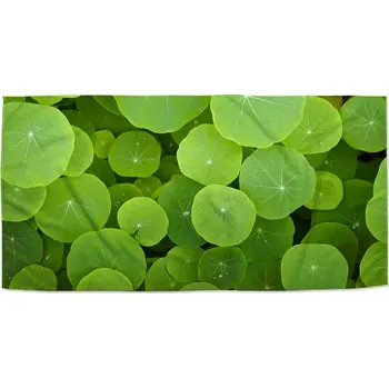 Osuška Sablio Ručník Listy leknínu - 50x100 cm