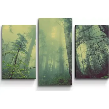 Obraz Sablio Obraz - 3-dílný Temný les - 75x50 cm