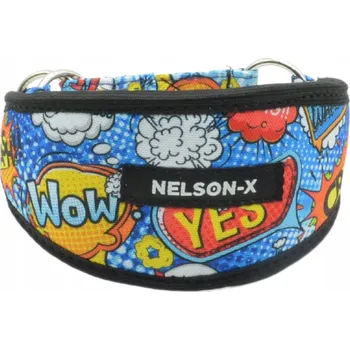 Obojek pro psa Obojek pro psa Nelson-X vel. M
