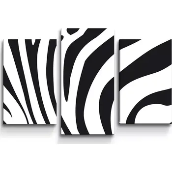 Obraz Sablio Obraz - 3-dílný Vzor zebry - 75x50 cm