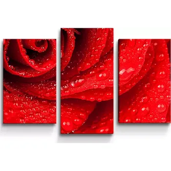 Obraz Sablio Obraz - 3-dílný Květ růže - 75x50 cm
