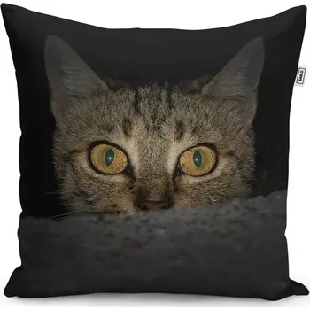 Polštář Sablio Polštář Kočka - 40x40 cm