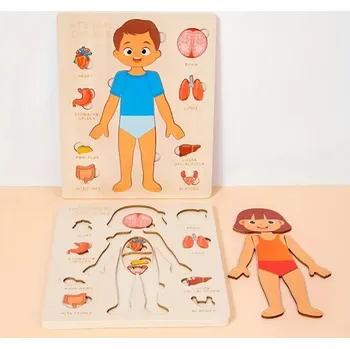 Dřevěná hračka Dřevěná logická hra o lidském těle. Motorické dovednosti. Učení částí těla. Dívka