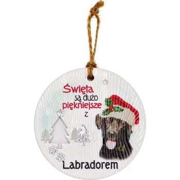 Přívěsek Keramický přívěsek CEZ-019 BN (Labradorit tmavý)