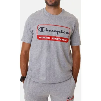 Pánské tričko Pánské tričko Champion šedé velikosti L