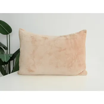 Povlečení XPOSE® Mikroplyšový povlak na polštář - béžový 40x60 cm, Mikroplyš + Prodloužená možnost vrácení zboží do 50 dnů