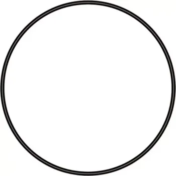 sera GmbH sera O kroužek 79mm