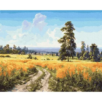 Obraz Malování podle čísel iPicasso 40x50 cm na rámu