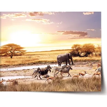Plakát Sablio Plakát Safari - 60x40 cm
