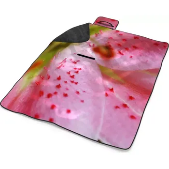 deka Sablio Plážová deka Květ lilie: 200x140 cm