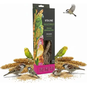 Krmivo pro ptáka PROSO SENEGALSKIE 100g KLASY PRO PAPOUŠKY KRMIVO KRMNÁ SMĚS ZRNÍ PRO PTÁKY