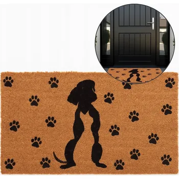 Rohožka Hotová gumová kokosová rohožka 40 x 60 cm