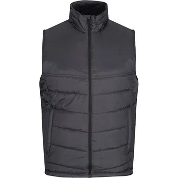 Regatta Pánská zateplená vesta a II Barva: Seal Grey (Solid), Velikost: L G_RG831