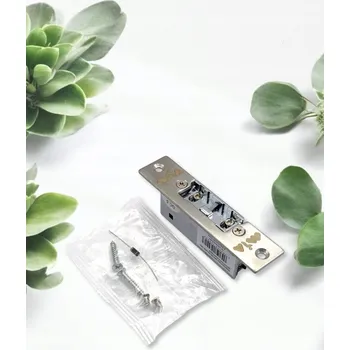 Bezpečnostní kamera Elektrický zámek MIA EZ-1224DC-SRS Symetrický design, reverzní funkce