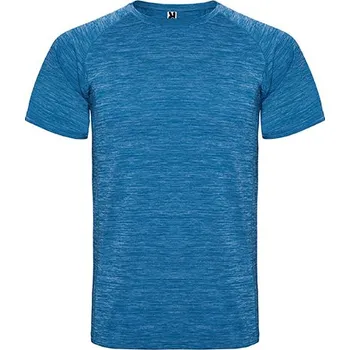 Pánské tričko Roly Pánské tričko Austin Barva: Heather Royal Blue 248, Velikost: XL G_RY6654