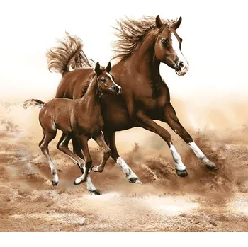 Papírový ubrousek Ubrousky na dekupáž Horses - 1 ks