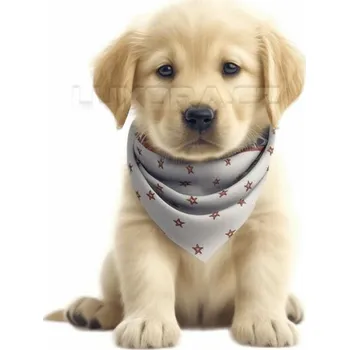 Nažehlovačka Zlatý retrívr štěně puntíkovaný šátek - 9 x 12 cm