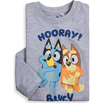 Dívčí tričko Dětské tričko BLUEY HOORAY šedé Velikost: 98