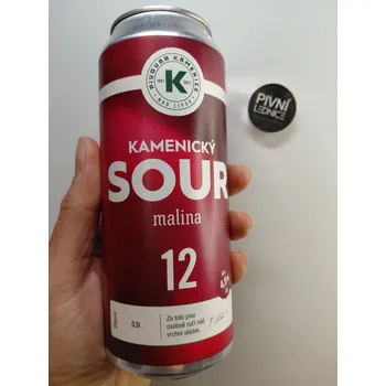 Pivo Kamenice nad Lipou Kamenický Sour Malina 12°/4,5% 0,5l