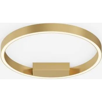 MAYTONI Stropní svítidlo Rim 24W MOD058CL-L25BSK